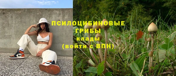 сатива Алексеевка