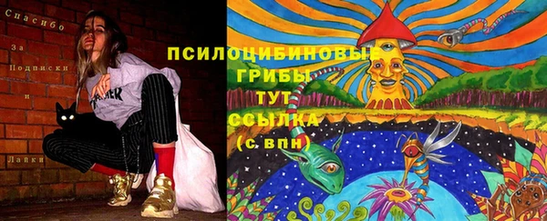 скорость Алексин