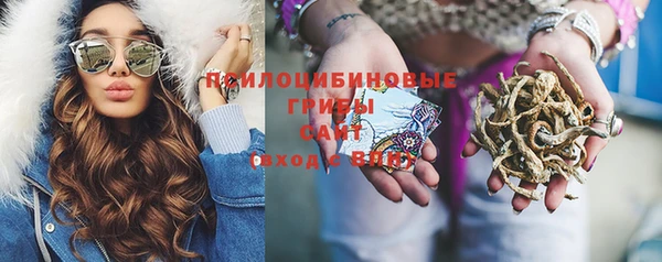 сатива Алексеевка