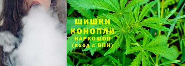 метадон Няндома
