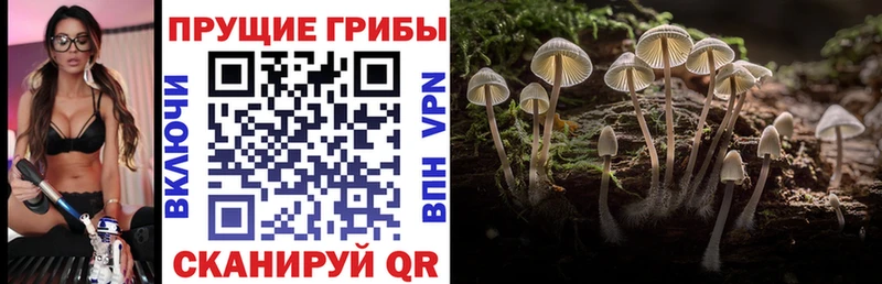 мега рабочий сайт Калтан Галлюциногенные грибы мицелий